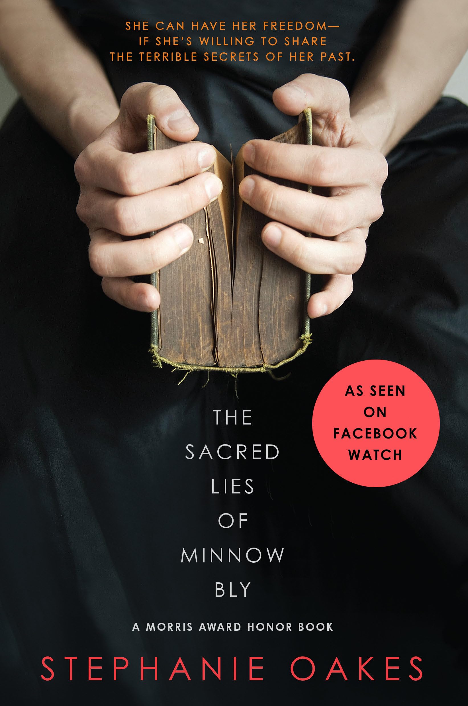 cover of The Sacred Lies of Minnow Bly