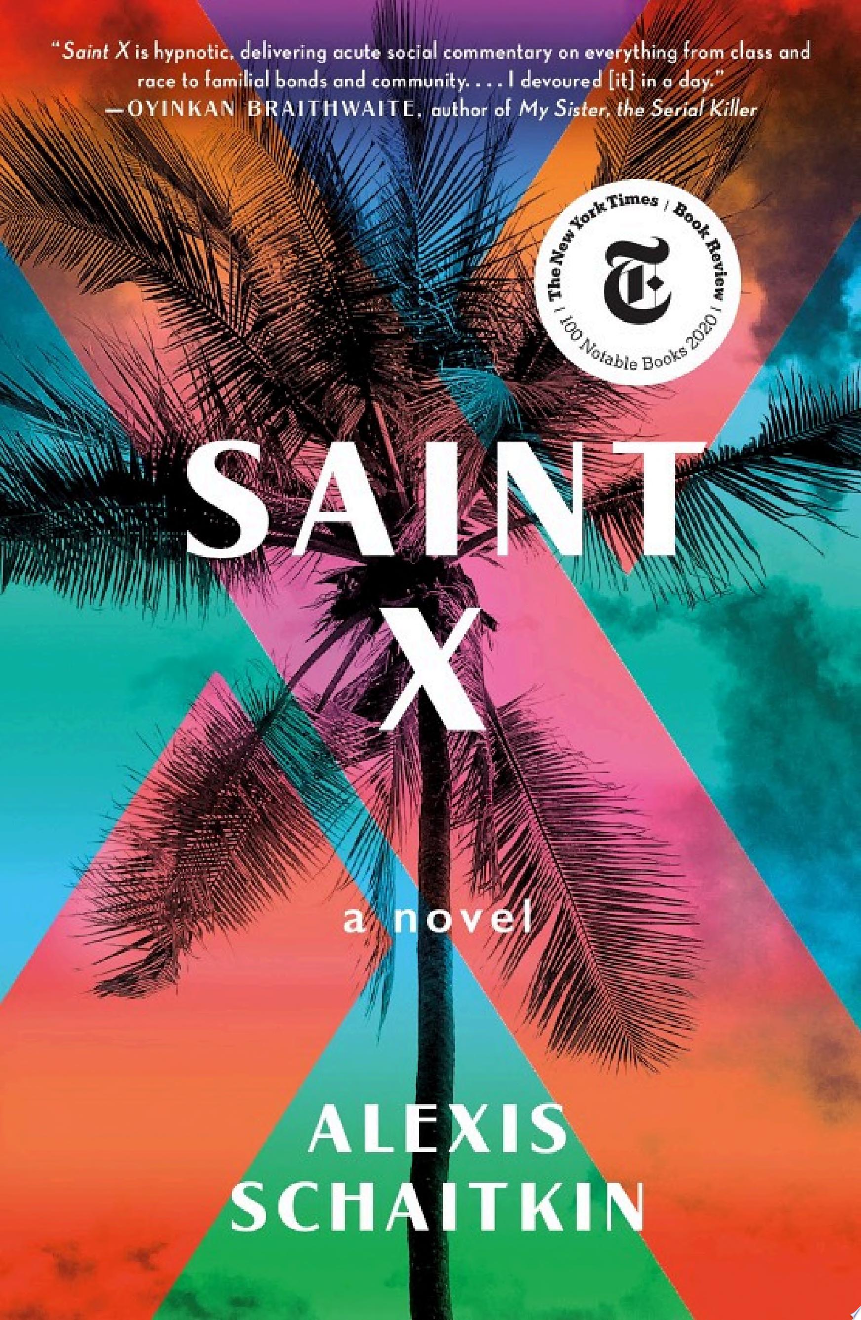Image for "Saint X"
